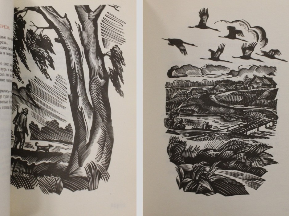 Фото. Иллюстрации Александра Зайцева. 2.jpg