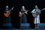 DSC_3797.jpg